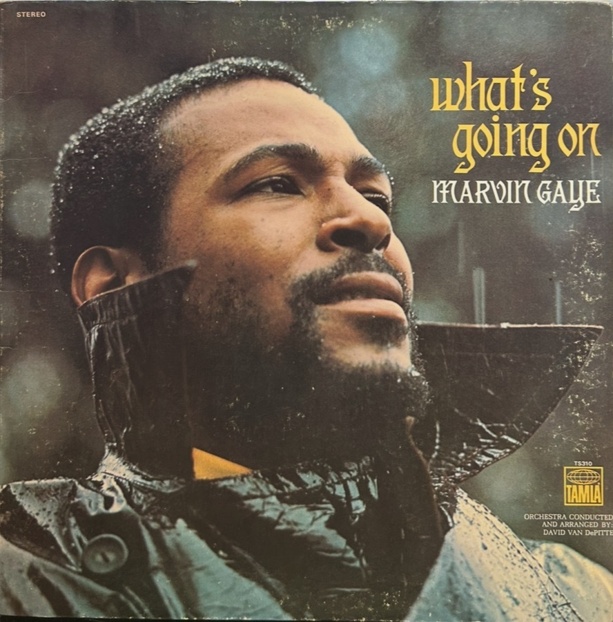 Buying and selling vinyl records. Coloma, southwest michigan